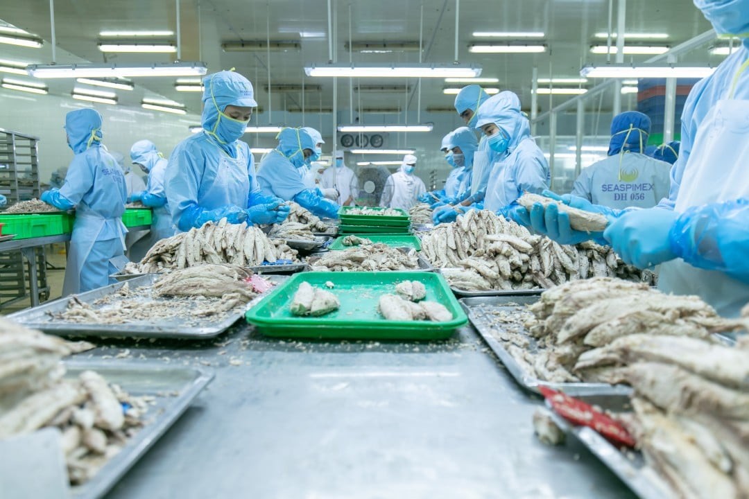 nganh-ca-ngu-viet-nam-loay-hoay-tim-duong-o-cac-thi-truong-lon-1-1758266682.jpg