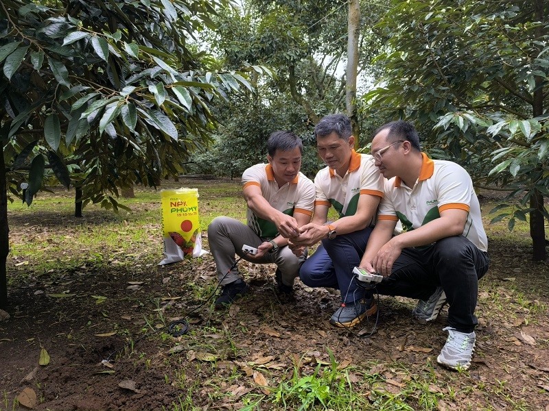 phu-my-3-1758810397.jpg
