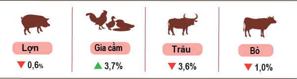 nong-nghiep-thang-9-2025-stnn-2-1759724816.png