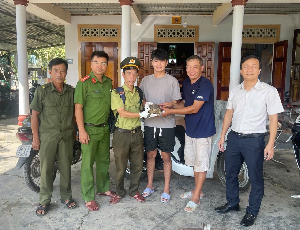 hue-tiep-nhan-ca-the-rua-nui-vang-stnn-1-1760070811.jpeg
