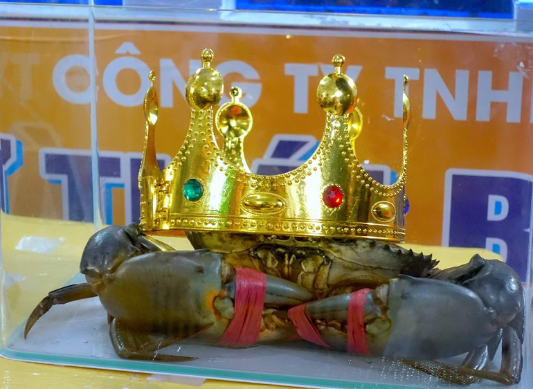 cua-ca-mau-lon-nhat-1760408623.jpg