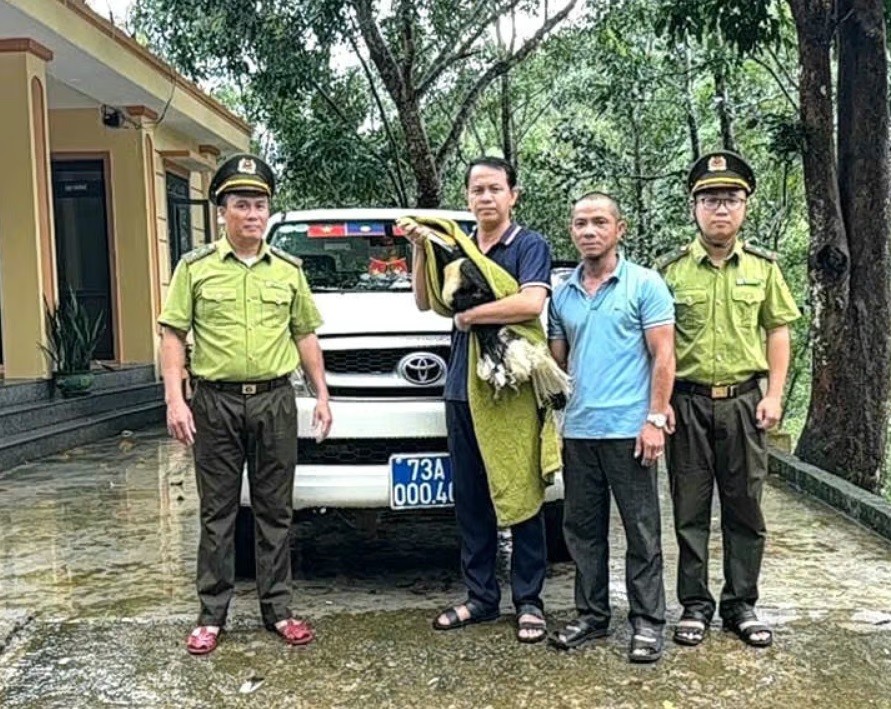 ban-giao-chim-hong-hoang-quy-hiem-stnn-2-1760495452.jpg