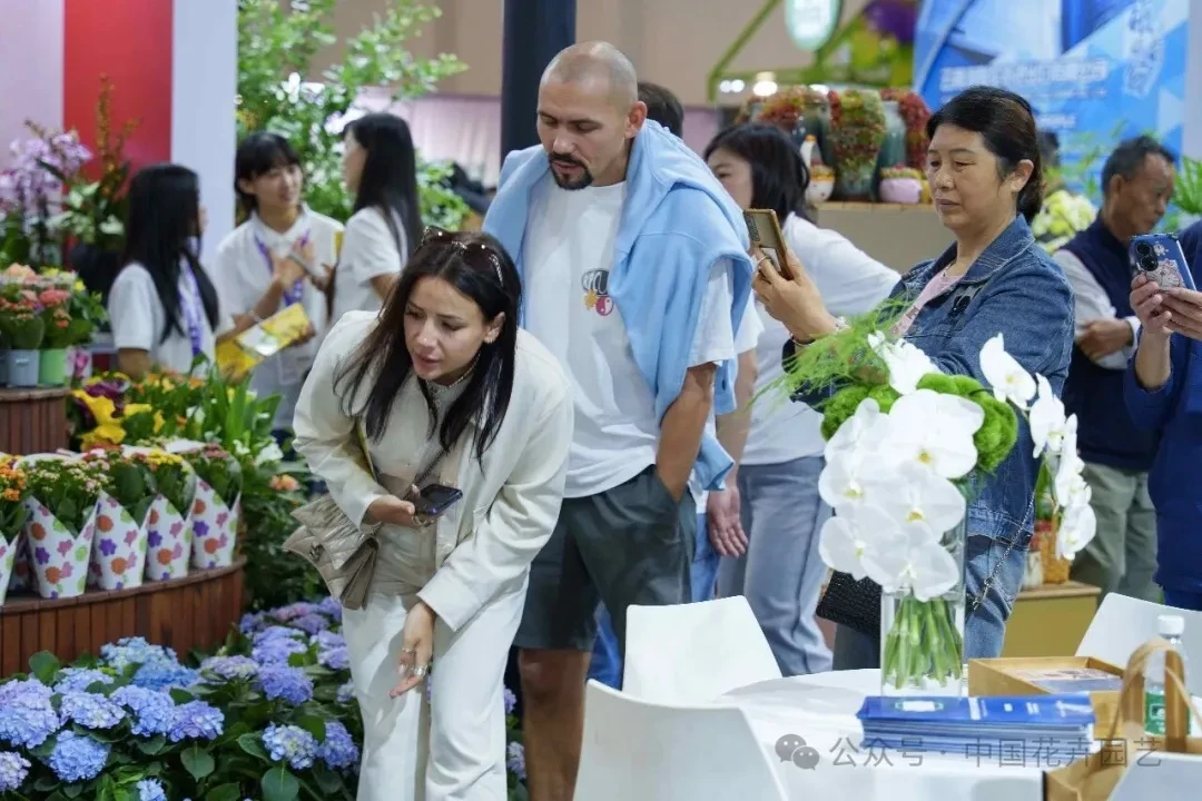 lien-minh-hoa-nga-tai-con-minh-stnn-1761296064.webp