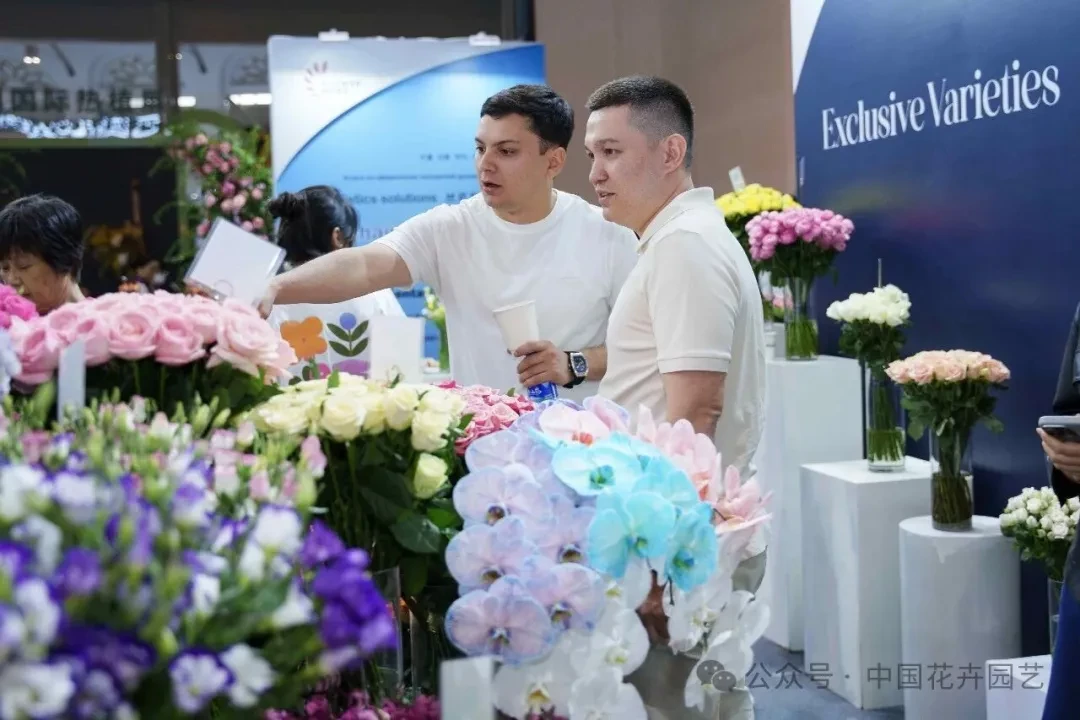 lien-minh-hoa-nga-tai-con-minh-stnn-2-1761296064.webp