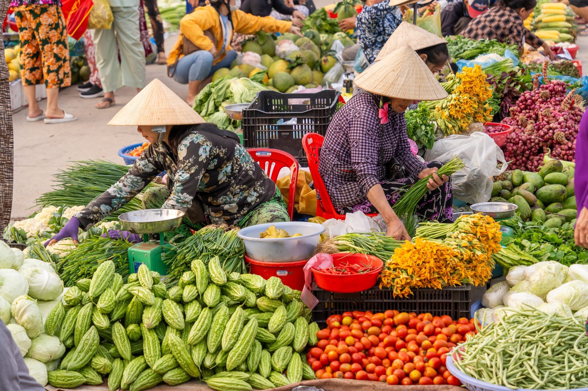 rau-qua-viet-nam-1761532687.jpg