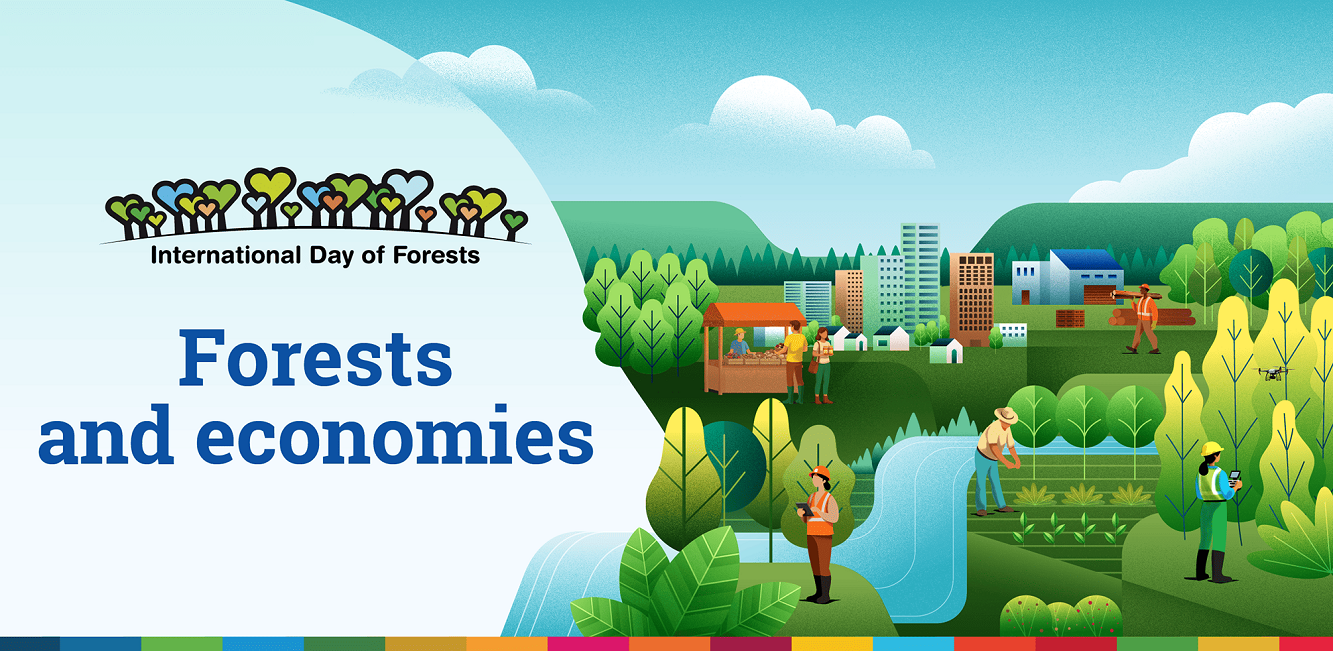 forests-and-economies-1772413434.png
