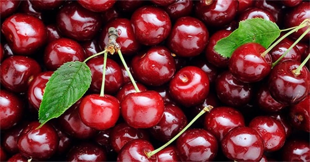 cherry-1773722262.jpg