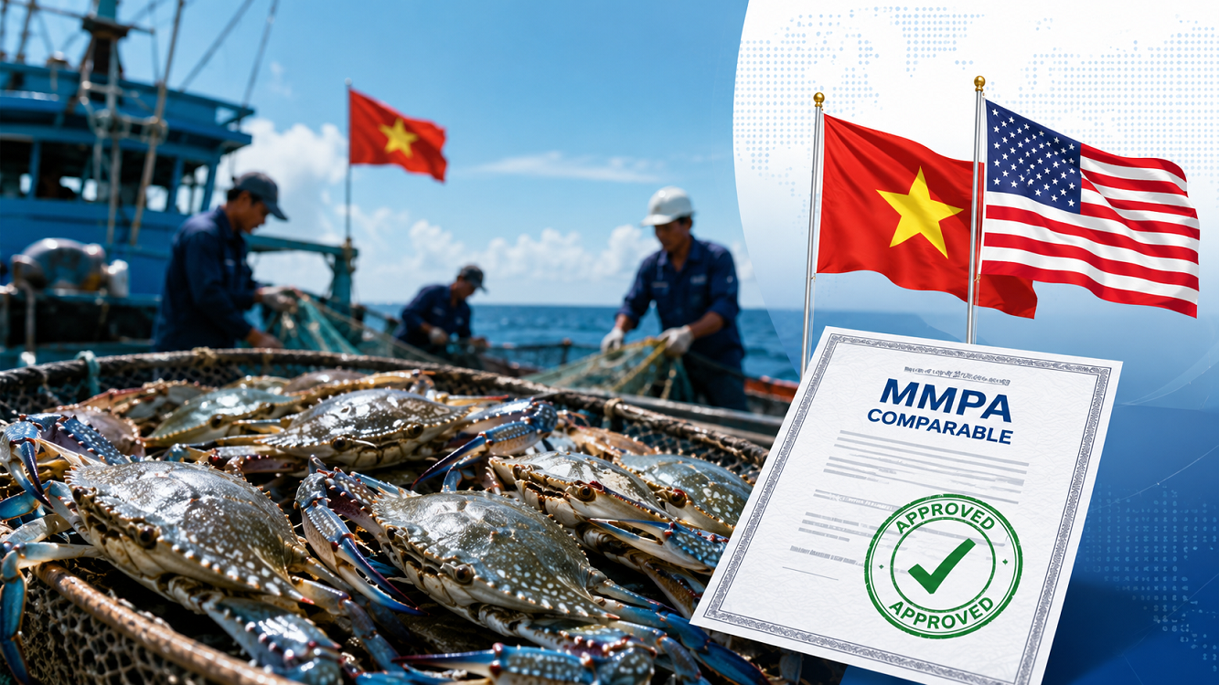 nghe-ghe-viet-nam-duoc-noaa-my-cong-nhan-tuong-duo-1598-1-1778724056.png