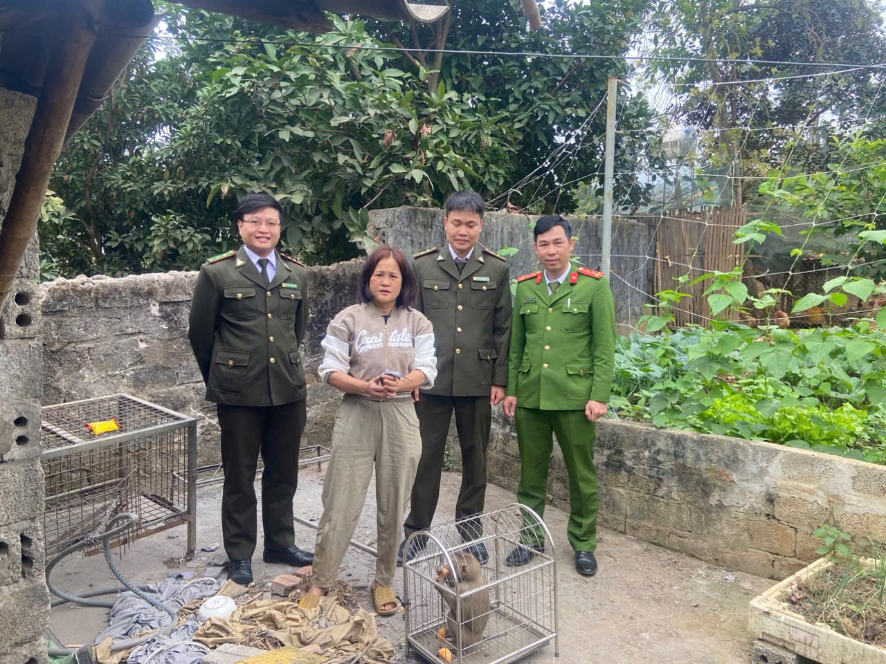 kiem-lam-xuan-lien-1-1778837615.jpg