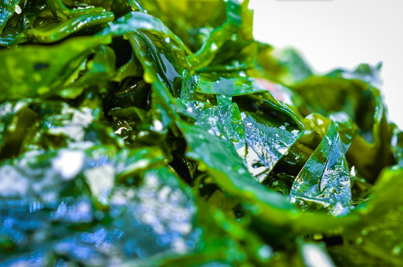 rong-bien-wakame-1779689546.jpg