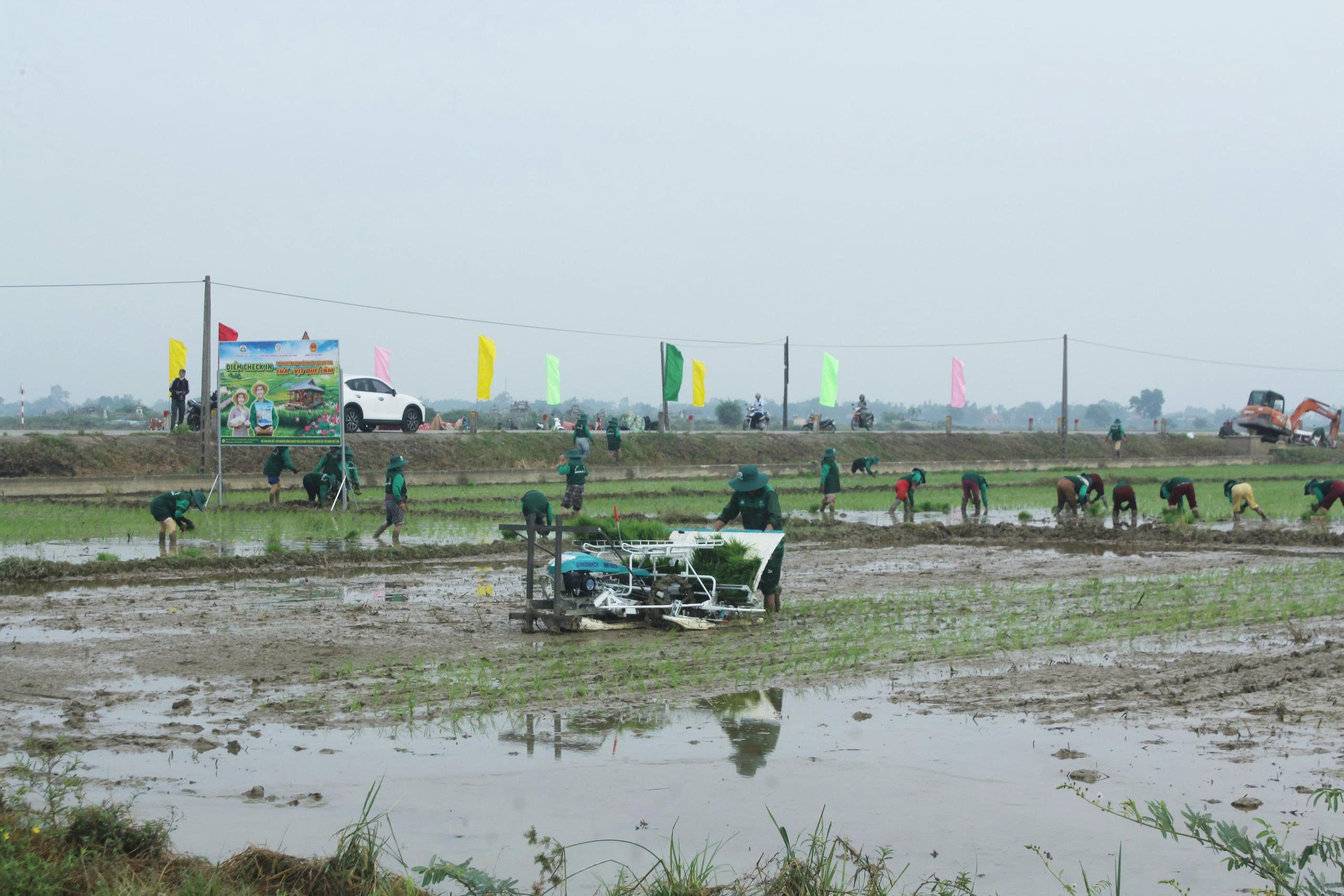 anh-25-1780367495.jpg