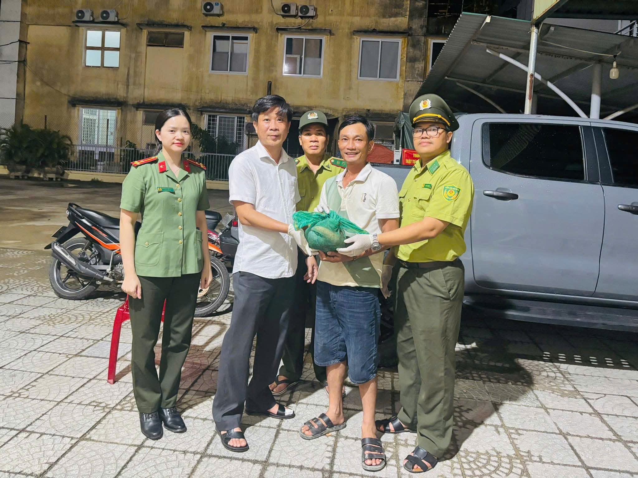 hue-tiep-nhan-dong-vat-hoang-da-stnn-1-1781251349.jpg