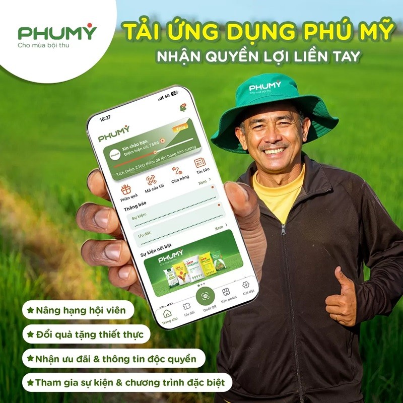 anh-5-phu-my-1782177543.jpg