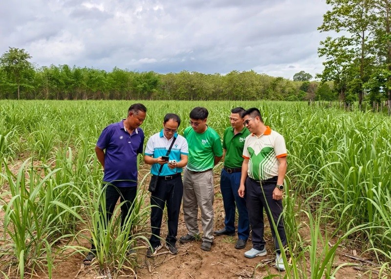 anh-6-phu-my-1782177714.jpg