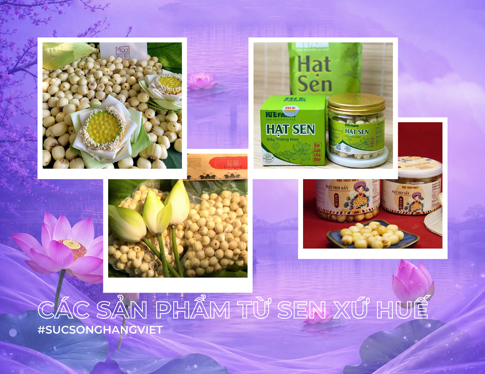 hue-thuong-trang-tien-5-1782443924.png