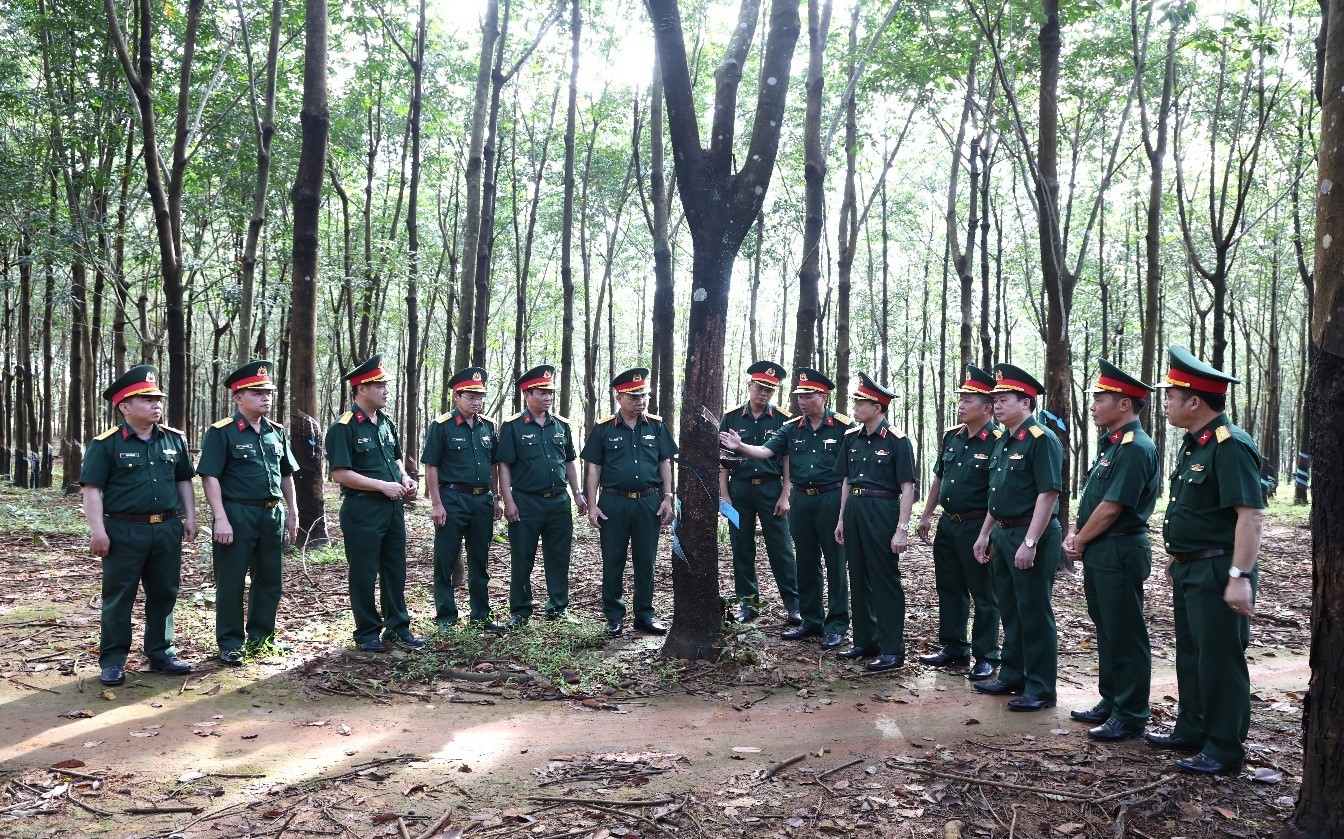 binh-doan-16-phat-huy-hieu-qua-kinh-te-quoc-phong-stnn-3-1782700792.jpg