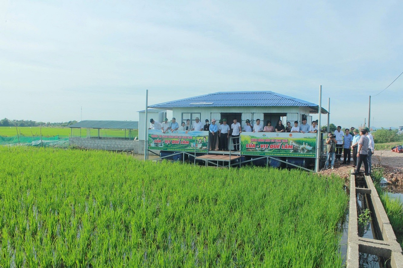 phat-trien-nong-nghiep-huu-co-2-1782697922.jpg