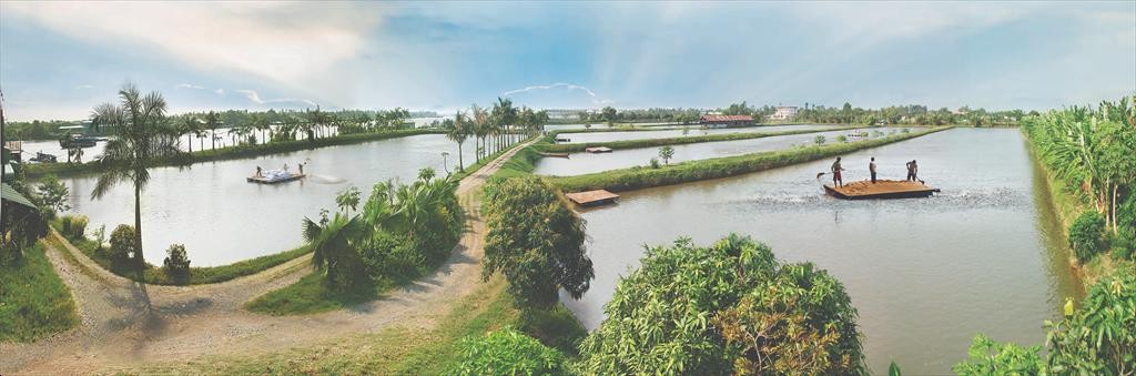 nganh-nuoi-ca-ro-phi-viet-nam-siet-chat-quan-ly-1782788603.jpeg