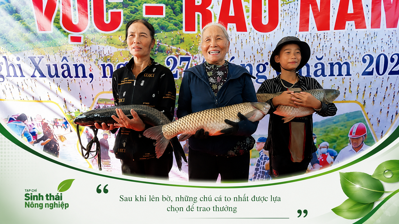anh-6-1782876096.png