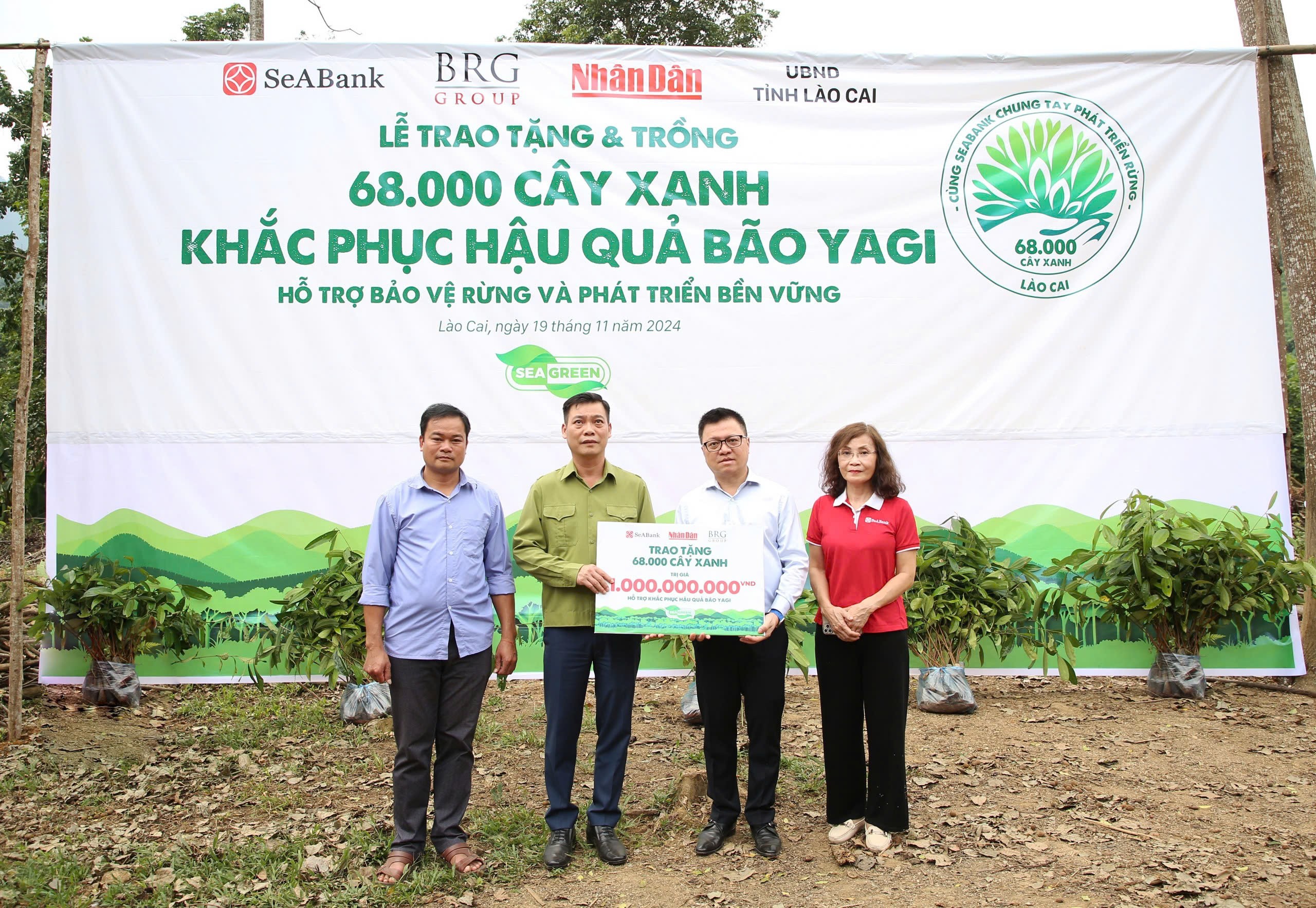 Trồng rừng là hoạt động được SeABank chú trọng trên hành trình net-zero