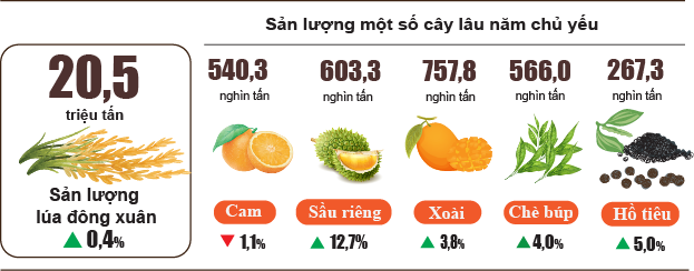 diem-sang-nong-nghiep-6-thang-2026-stnn-1783391951.png