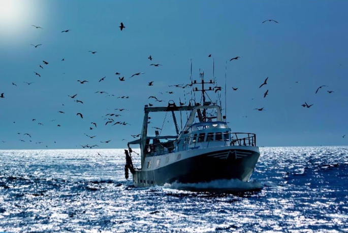iuu-1783497066.png