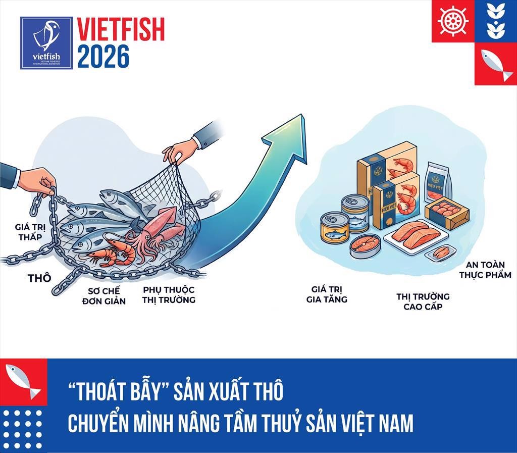 thoat-bay-xuat-khau-tho-gia-re-buoc-chuyen-minh-ng-1601-1-1783496627.jpeg