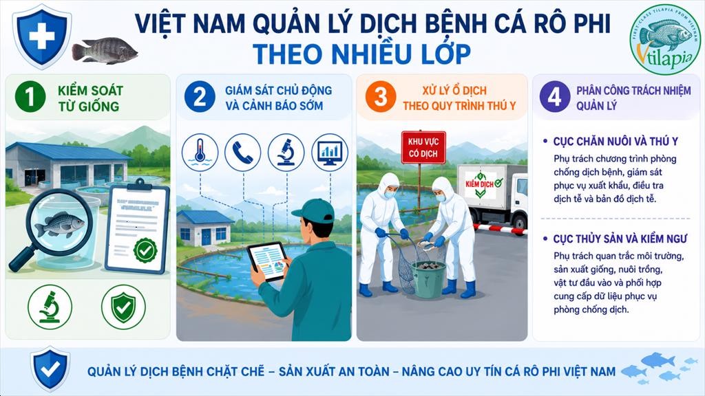 quan-ly-dich-benh-chat-che-bao-dam-chat-luong-ca-ro-phi-1784099561.jpeg