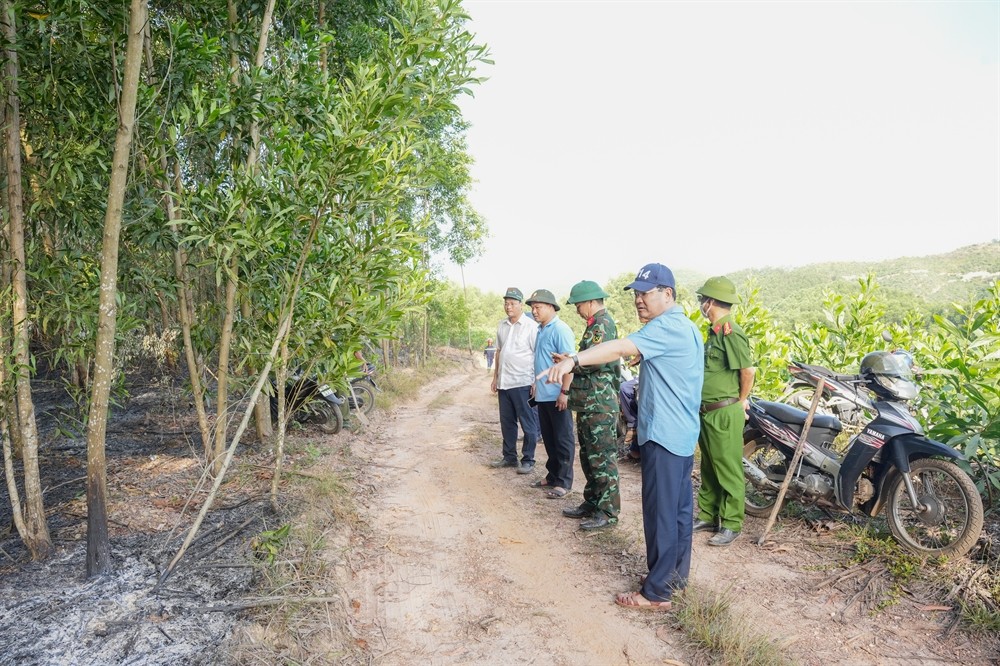 khong-che-chay-rung-tai-hue-stnn-1-1784714785.jpg