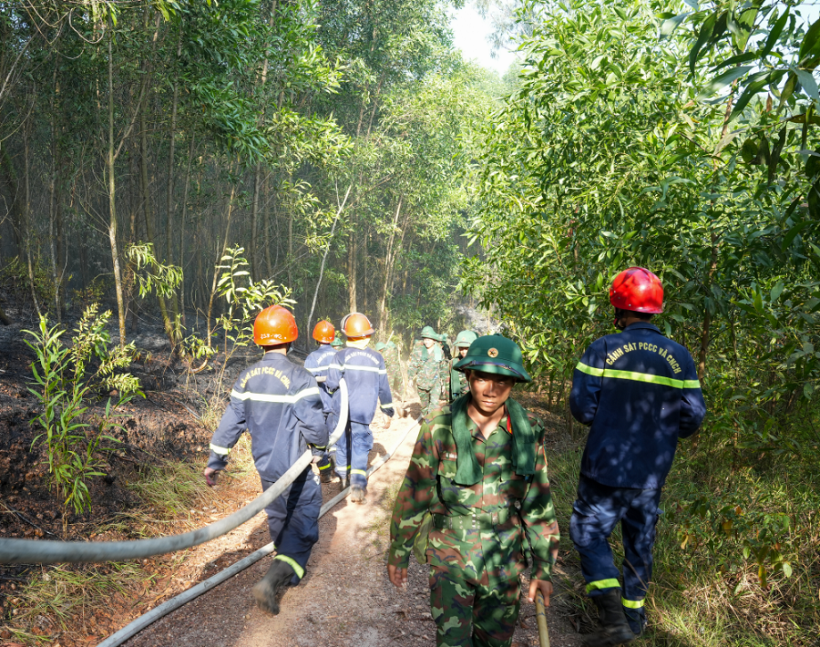 khong-che-chay-rung-tai-hue-stnn-2-1784714785.jpg