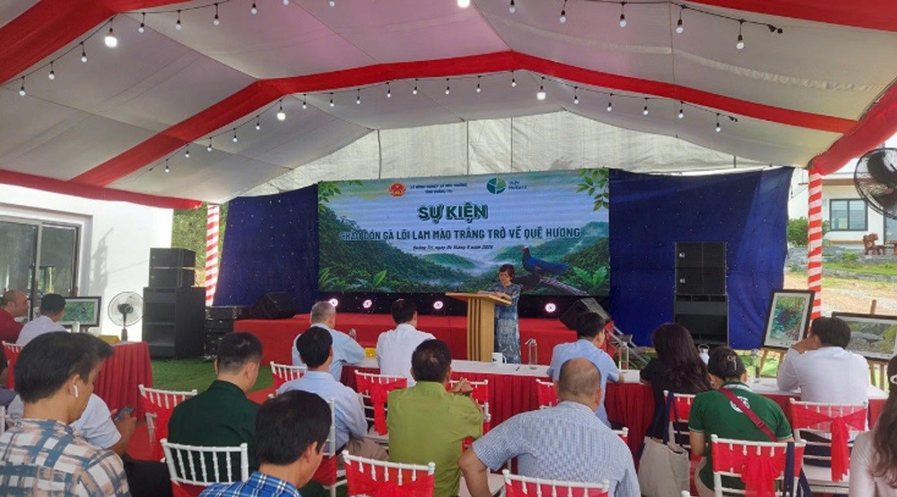 tiep-nhan-10-ca-the-ga-loi-stnn-2-1785923564.jpg
