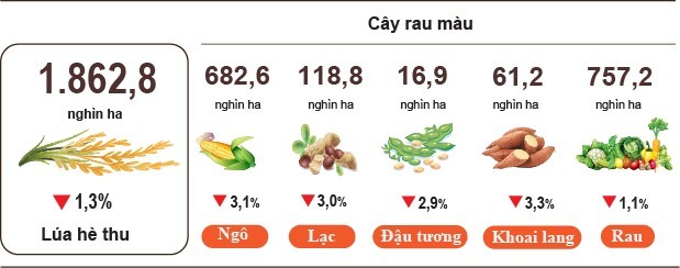 diem-sang-nong-nghiep-thang-7-stnn-1-1785989192.jpg