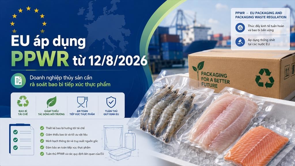 20260825100437946ppwr-chinh-thuc-ap-dung-tai-eu-doanh-nghiep-thuy-s-1600-1-1787716358.jpeg