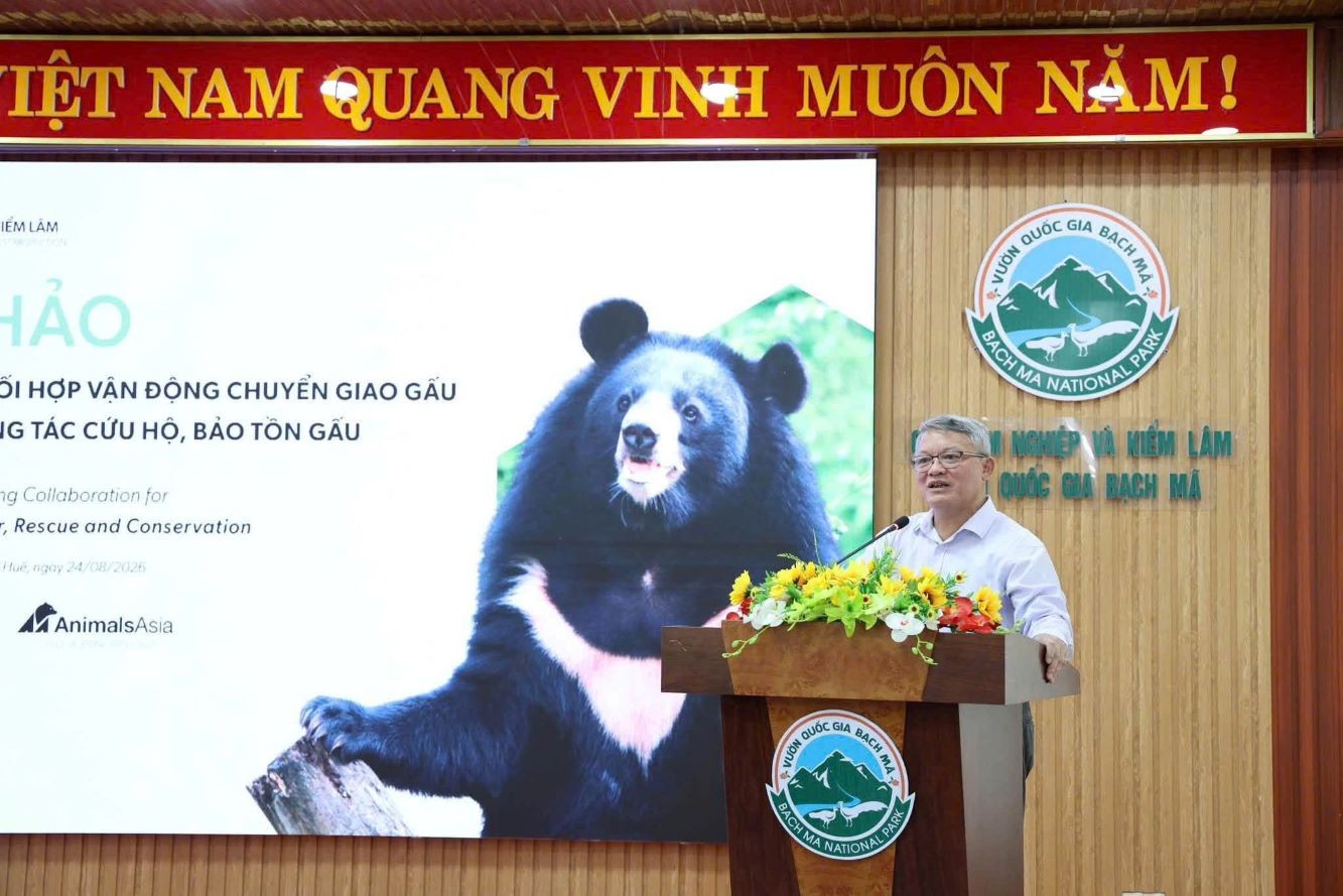 cuu-ho-gau-1-1788401118.jpg