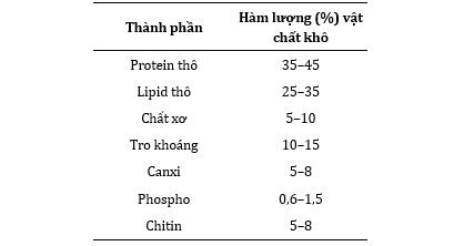 ruoi-linh-den-bang-1-tong-hai-1788754362.png