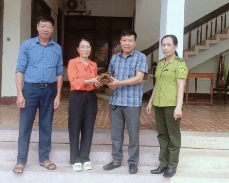 tiep-ho-dong-vat-hoang-da-stnn-2-1790238891.jpg