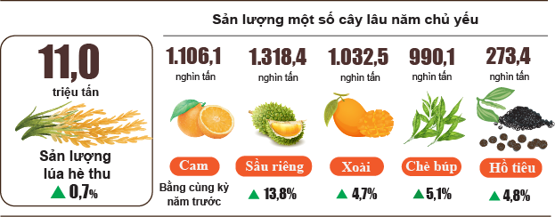 nong-nghiep-thang-9-2026-stnn-1791260736.png
