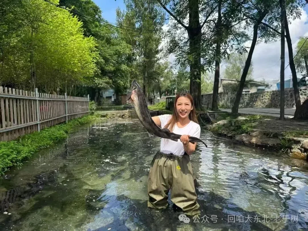 ke-toan-nuoi-ca-hoi-stnn-1791863695.webp