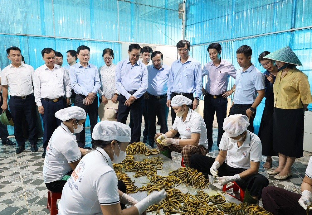 nghe-an-4-1792027750.jpg