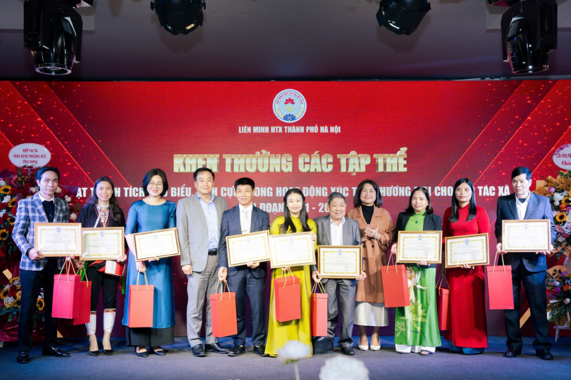 trai-tim-hong-4-1792395985.png