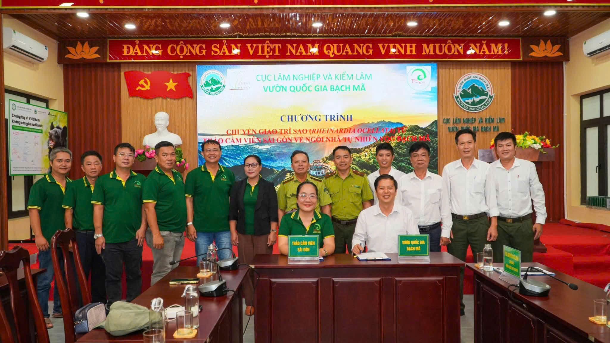anh-1-1793324243.jpg