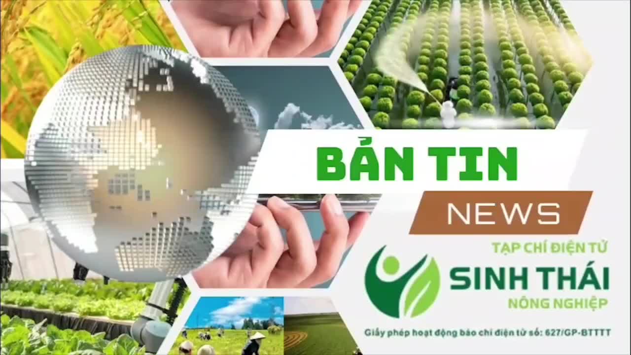 7834590228915-1778994832.mp4