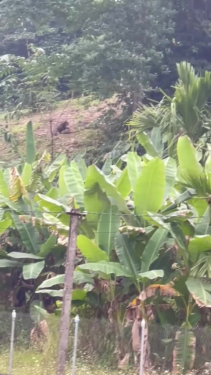 khi-mat-do-stnn-2-1766120561.mp4