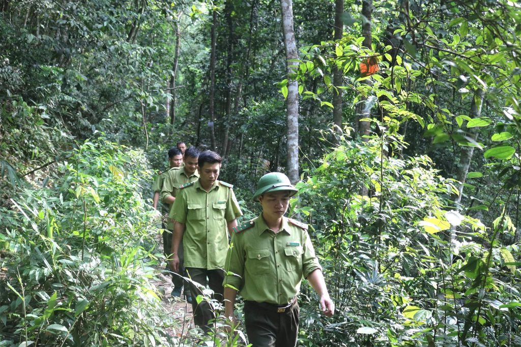 Cán bộ kiểm lâm Khu bảo tồn thiên nhiên Tây Yên Tử tuần tra bảo vệ rừng (Ảnh: Cơ quan chức năng cung cấp)