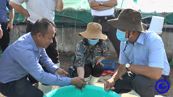 Lãnh đạo huyện Tân Phú Đông tham quan mô hình nuôi tôm công nghệ cao của ông Ngô Minh Tuấn (Tuấn Hiền) tại ấp Gảnh, xã Phú Đông.