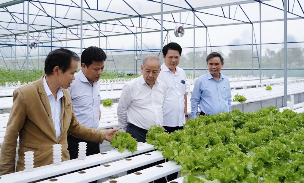 Ông Phan Ngọc Thọ, Phó Bí thường trực Tỉnh ủy Thừa Thiên Huế cùng lãnh đạo thị xã Hương Thủy tham quan mô hình trồng rau thủy canh tại xã Thủy Tân.