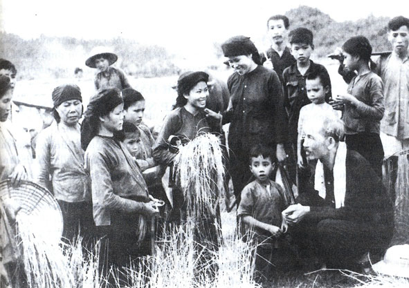 Bác Hồ thăm nông dân đang gặt lúa trên cánh đồng xã Hùng Sơn, (huyện Đại Từ, Thái Nguyên) vào năm 1954