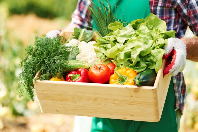 Chọn lựa và tiêu thụ những loại rau củ không chỉ ngon miệng mà còn đảm bảo an toàn cho sức khỏe.