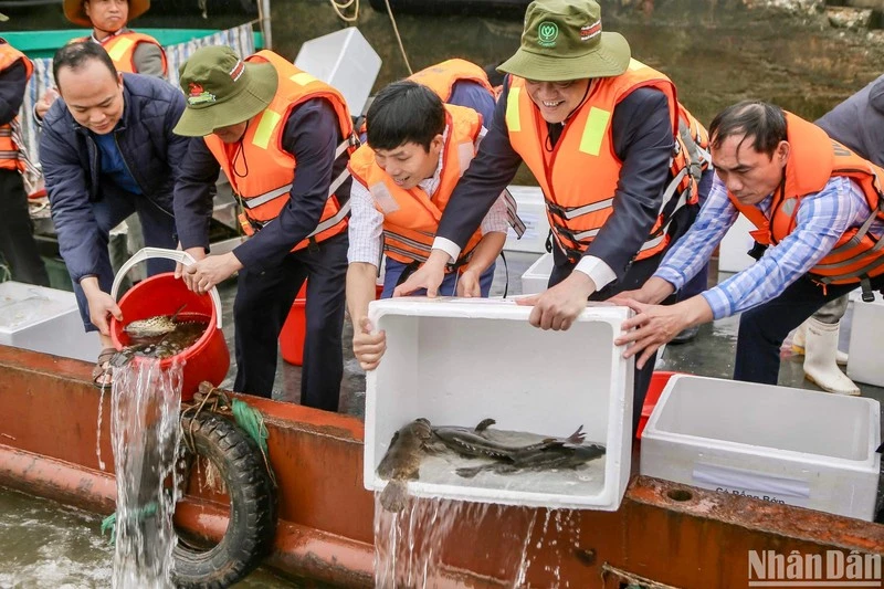Nam Định: Phát triển nuôi trồng thủy sản bền vững