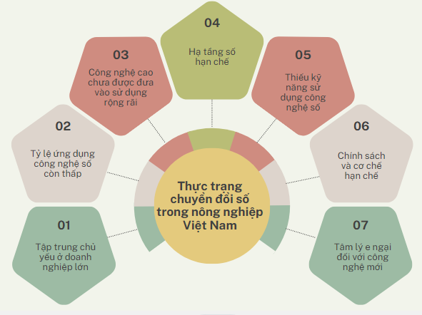 Thực trạng chuyển đổi số trong nông nghiệp Việt Nam.